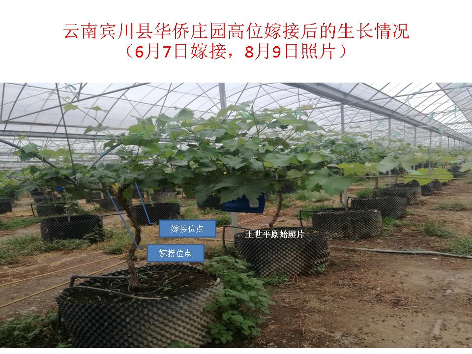 幻灯片32