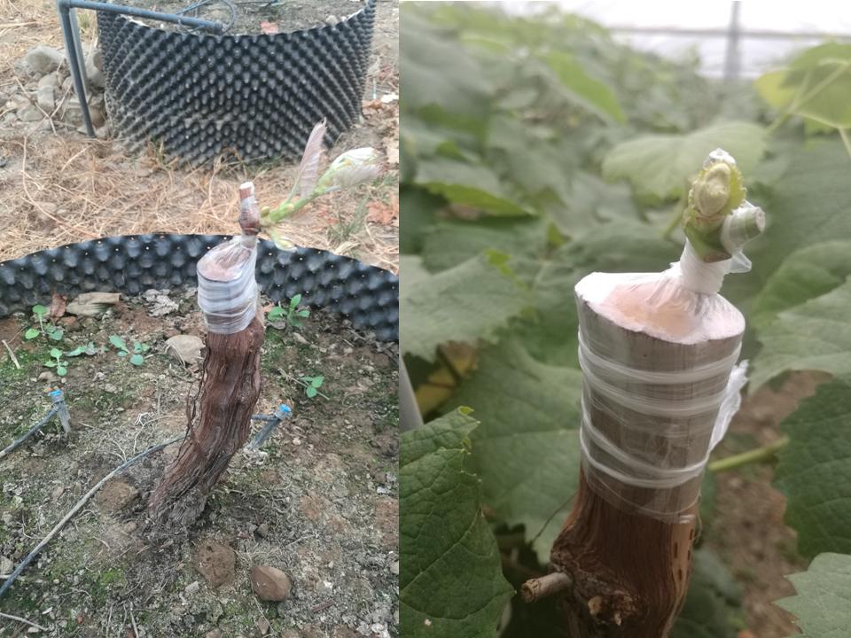 幻灯片33