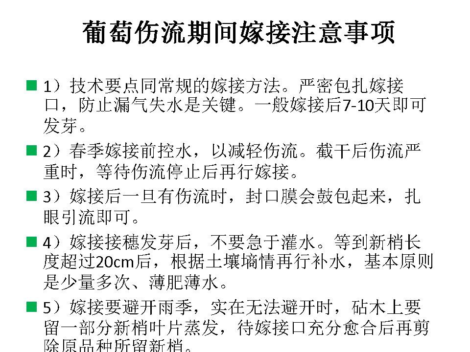 幻灯片34