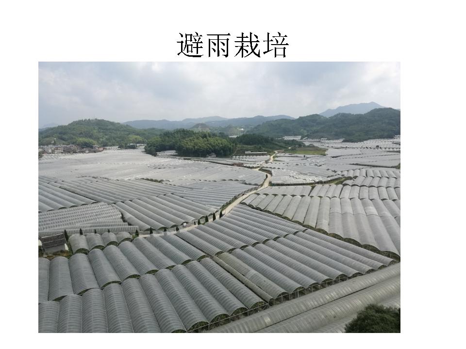 幻灯片39