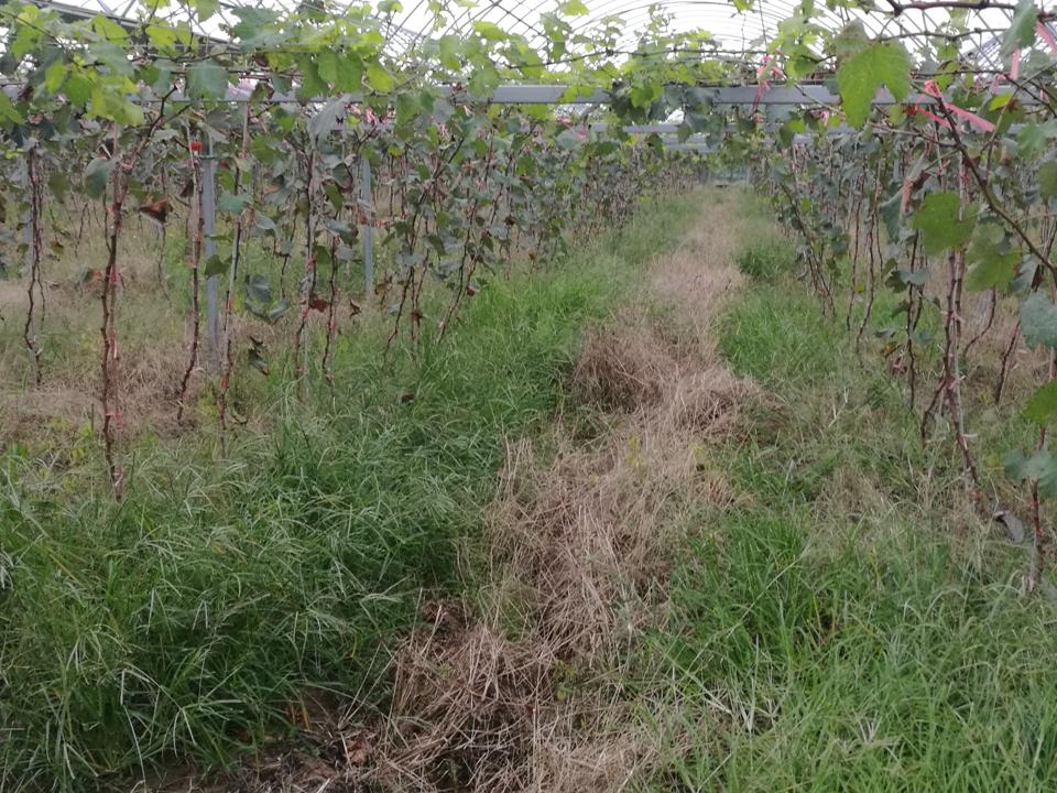 幻灯片72