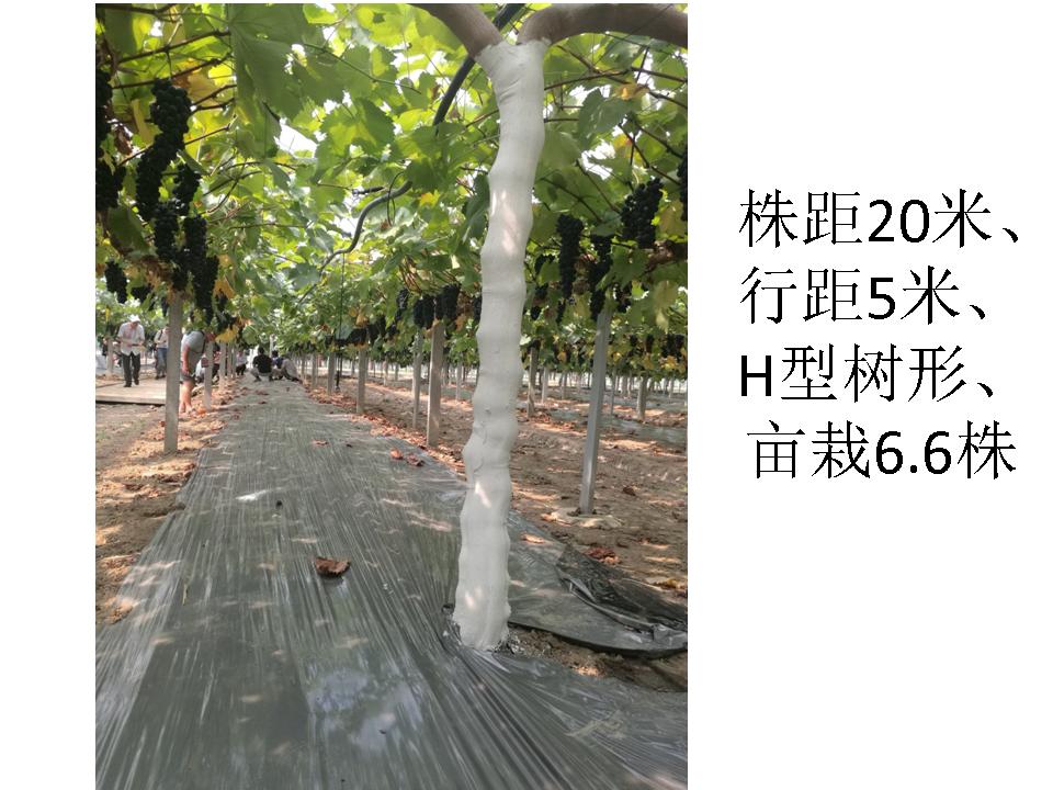 幻灯片82