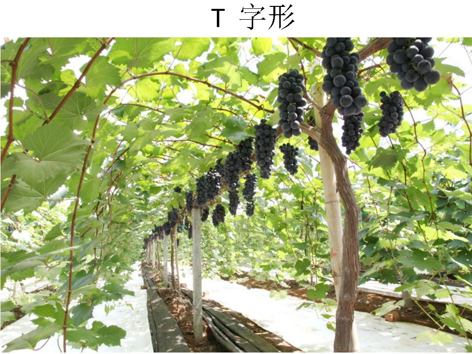 幻灯片96