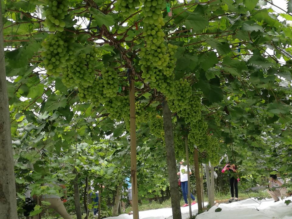 幻灯片99