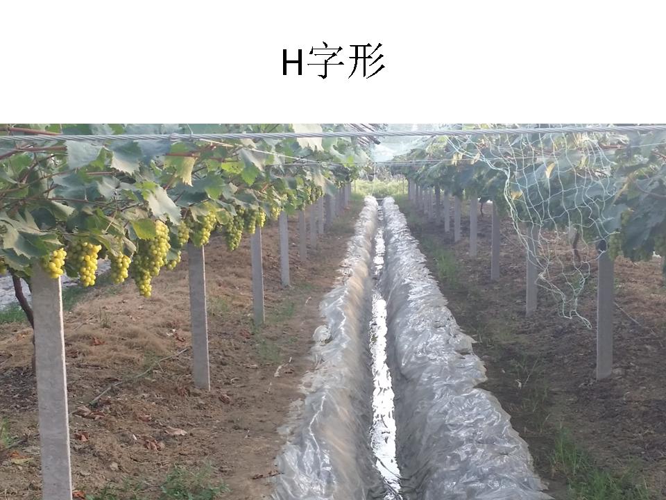 幻灯片101