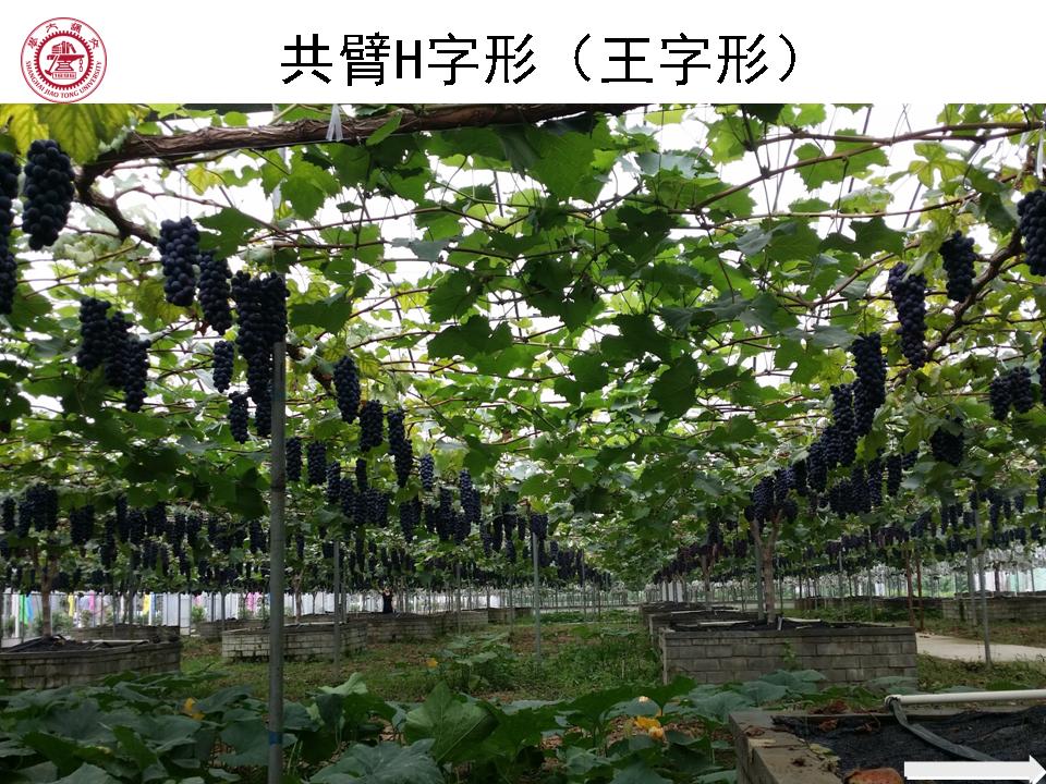 幻灯片105