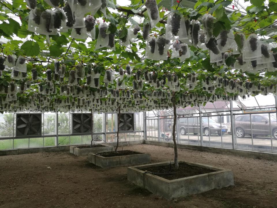 幻灯片127