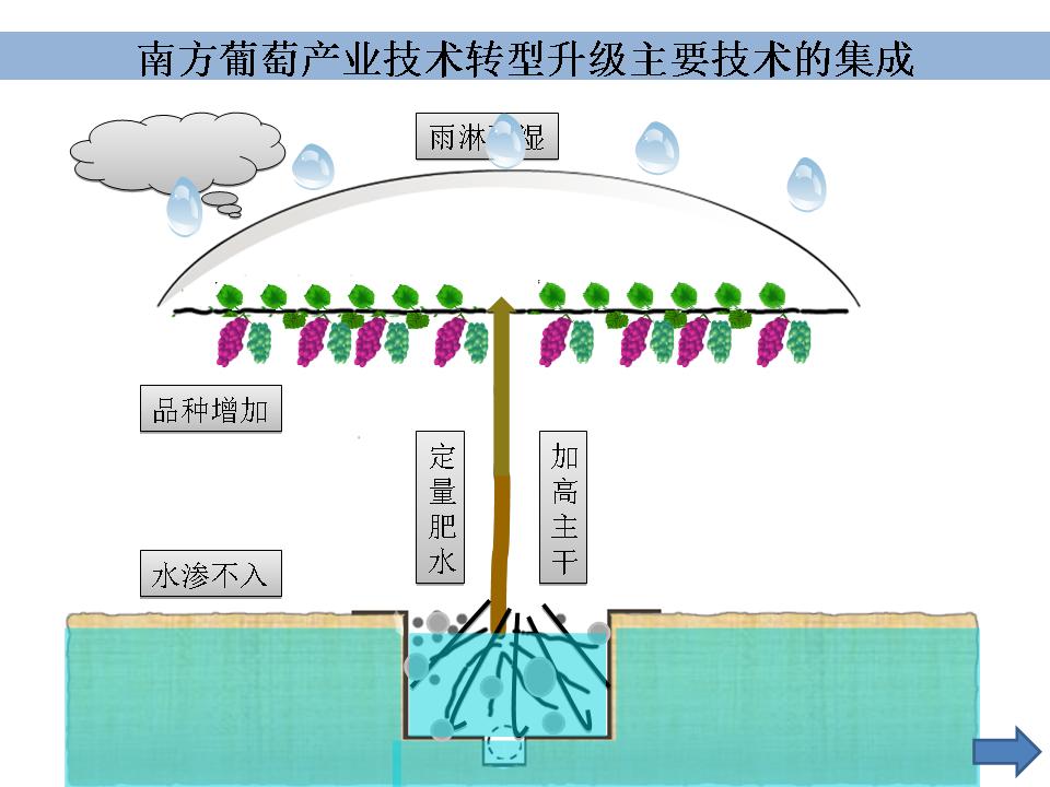 幻灯片133