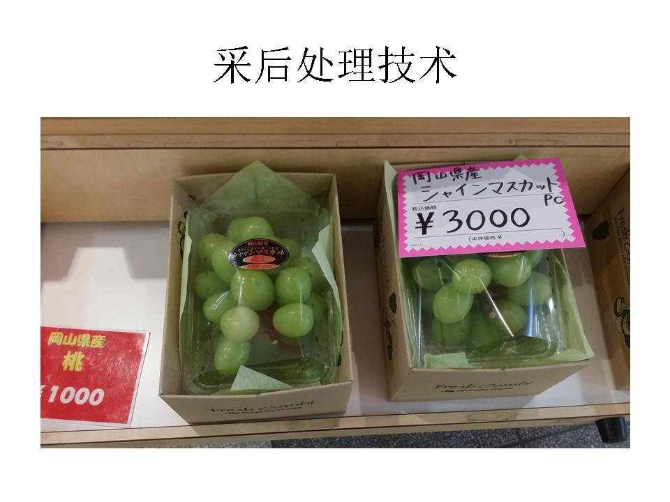 幻灯片134
