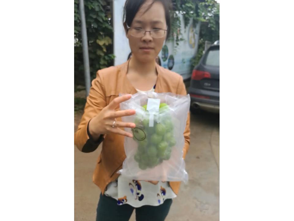 幻灯片144