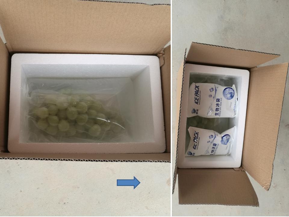 幻灯片145