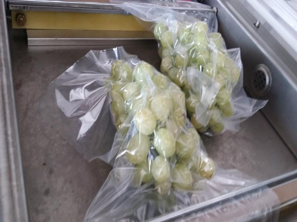 幻灯片151