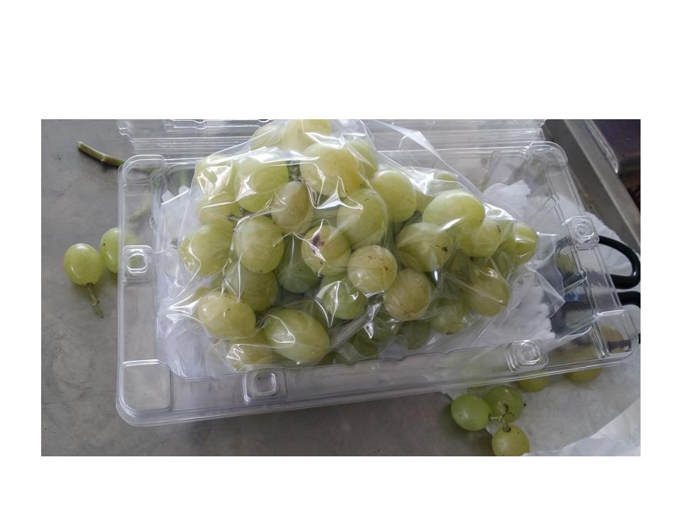 幻灯片153