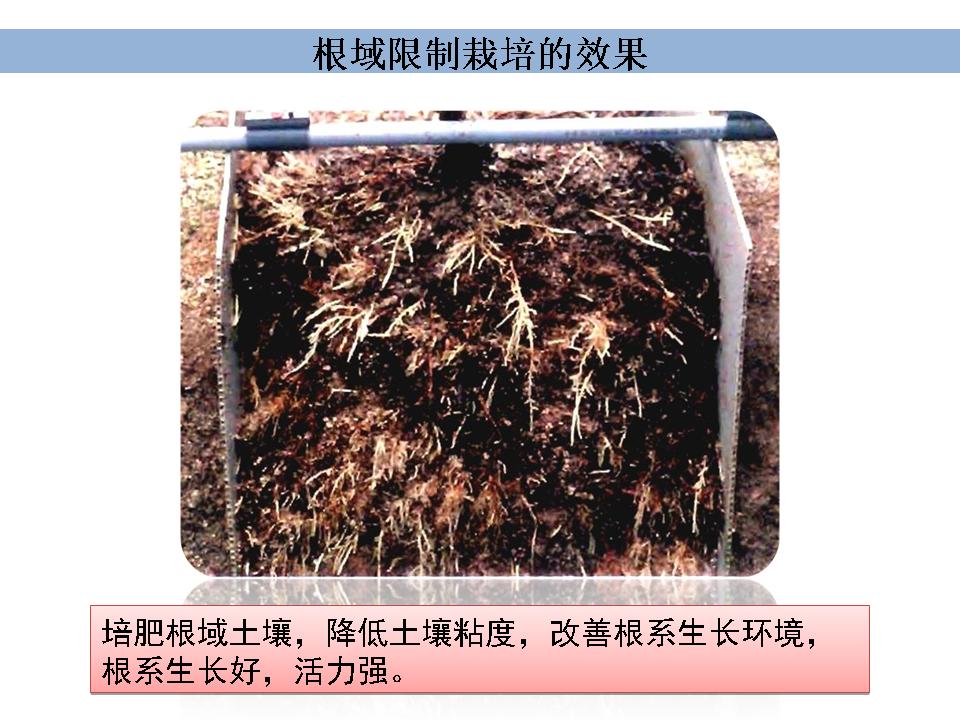 幻灯片159