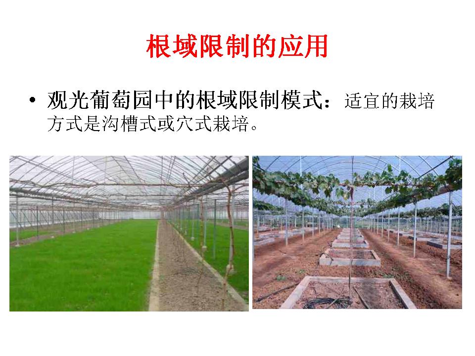 幻灯片180