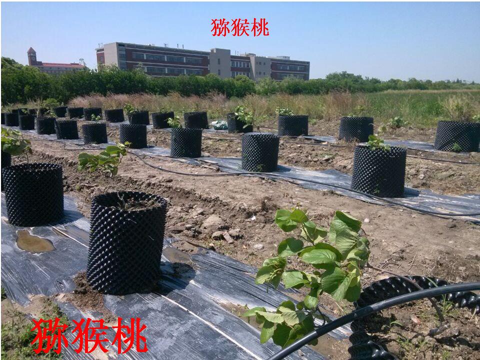 幻灯片201