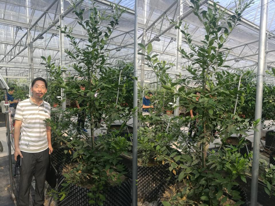 幻灯片210