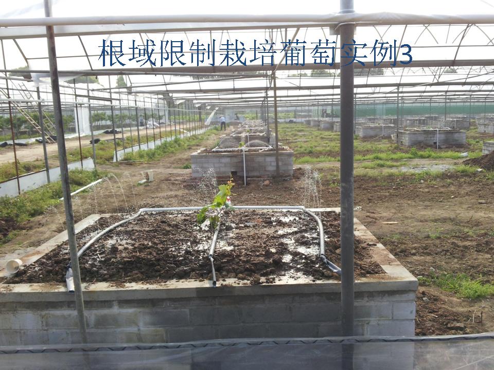 幻灯片248