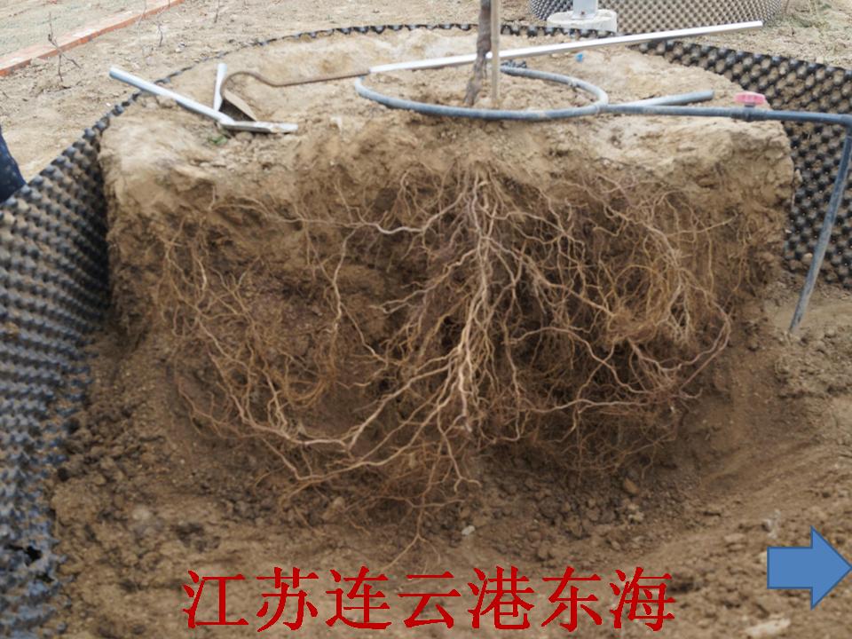 幻灯片275
