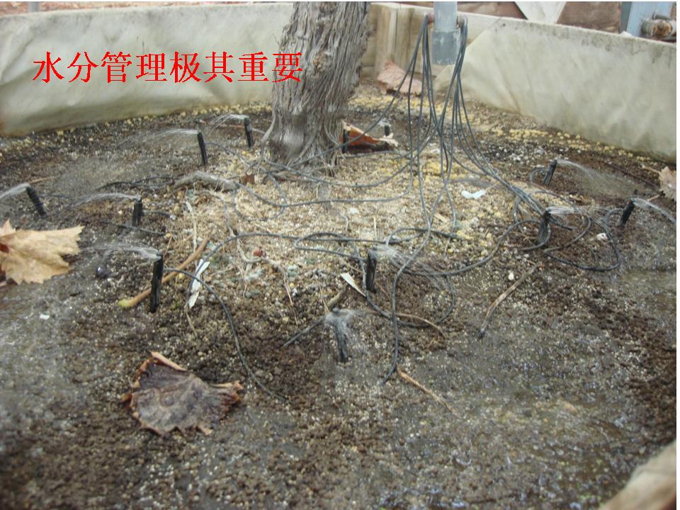 幻灯片277