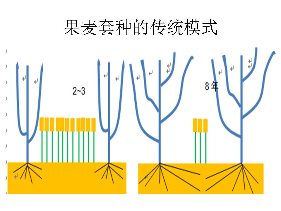 幻灯片281