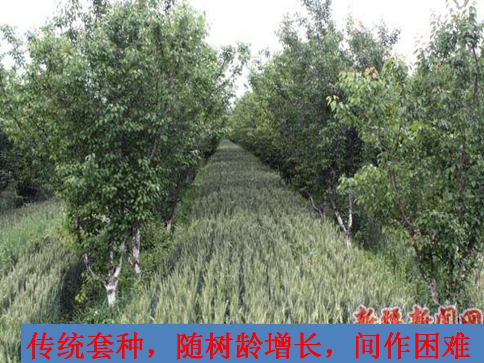 幻灯片282