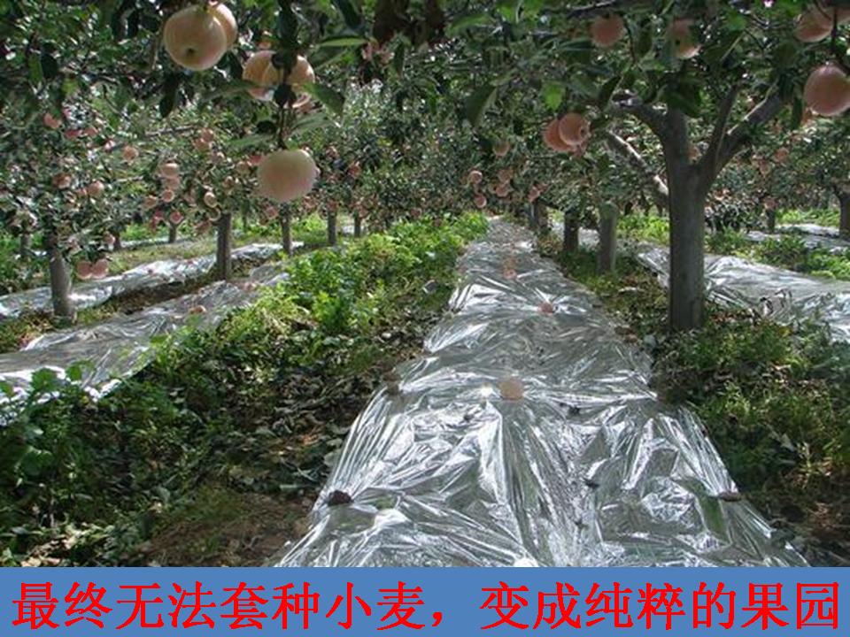 幻灯片283