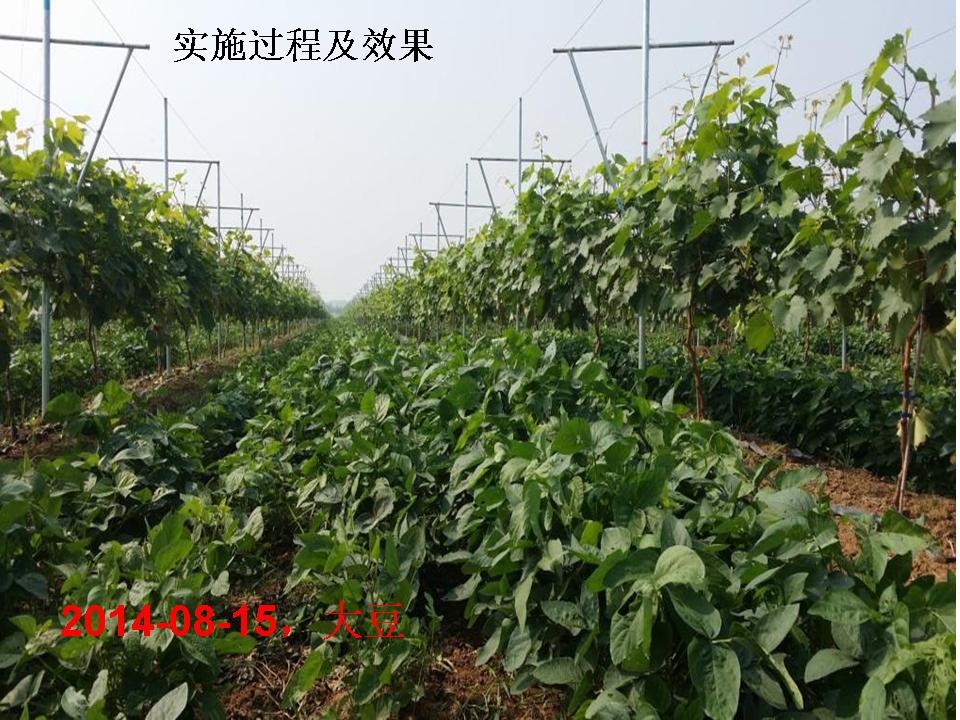 幻灯片291