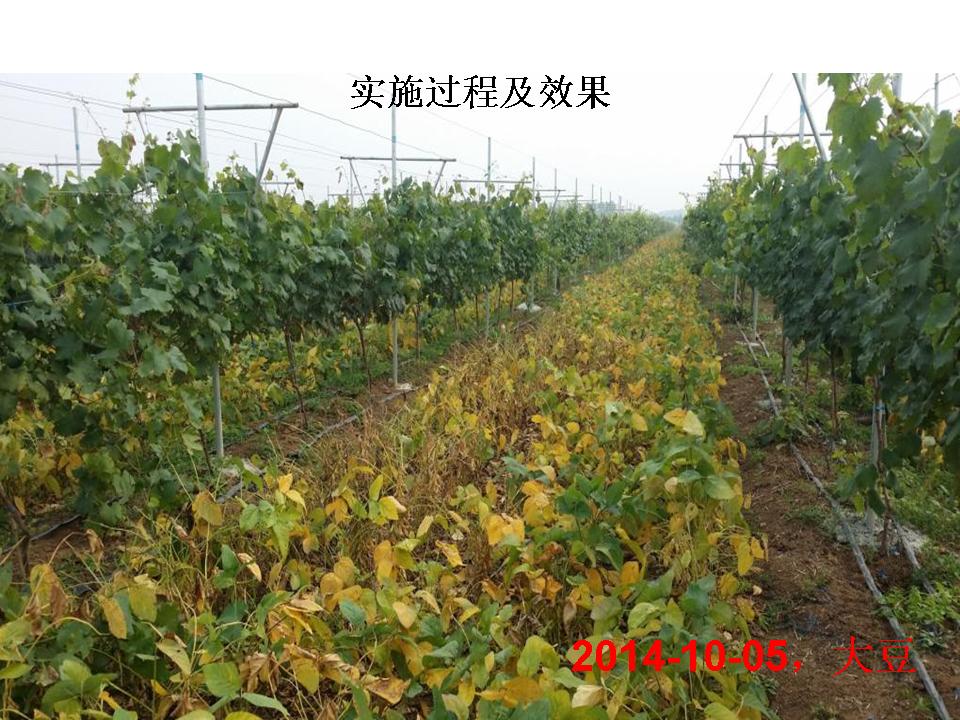 幻灯片292