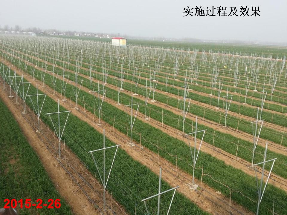 幻灯片293