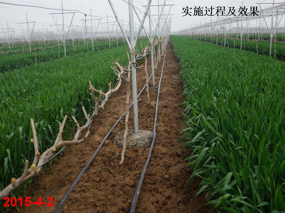 幻灯片294