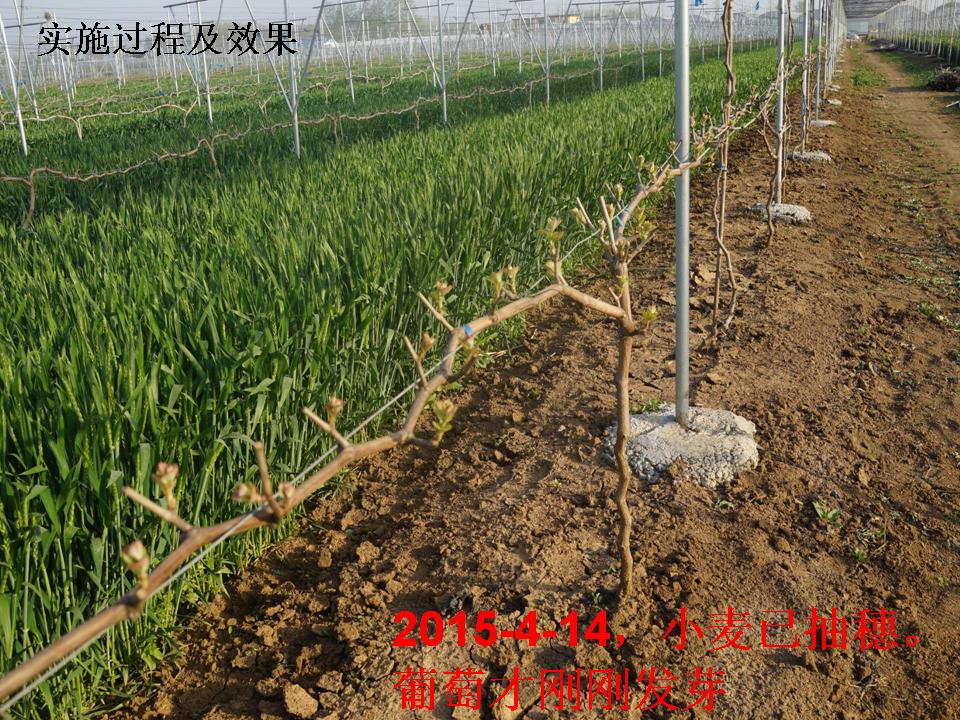 幻灯片295
