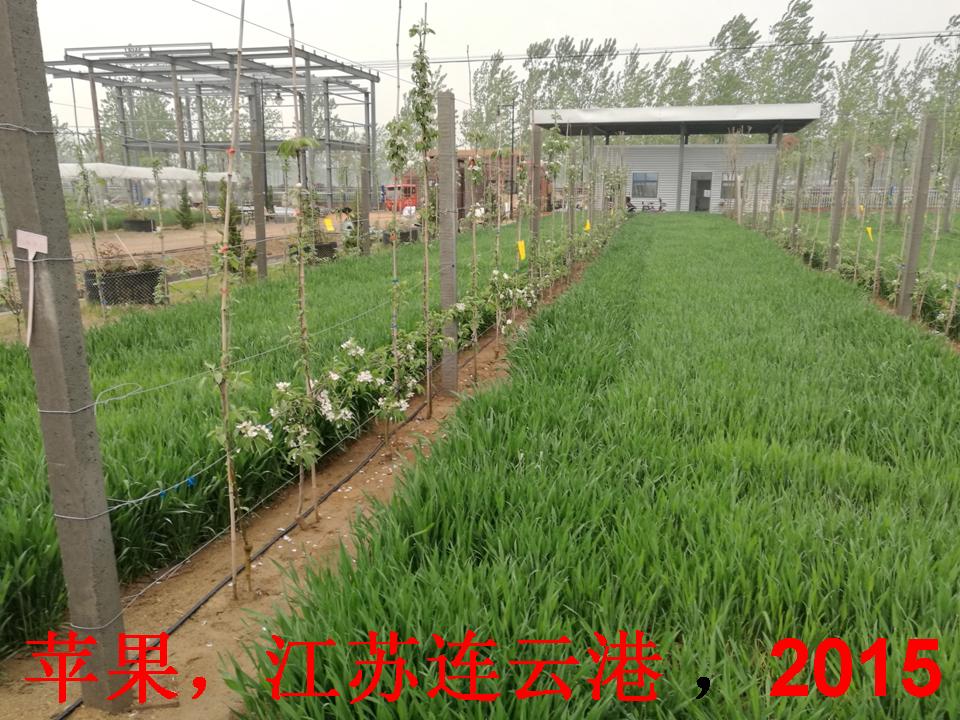 幻灯片317