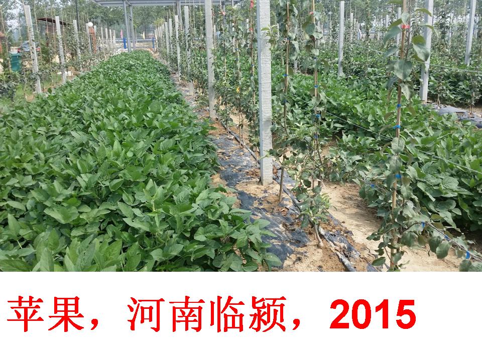 幻灯片320