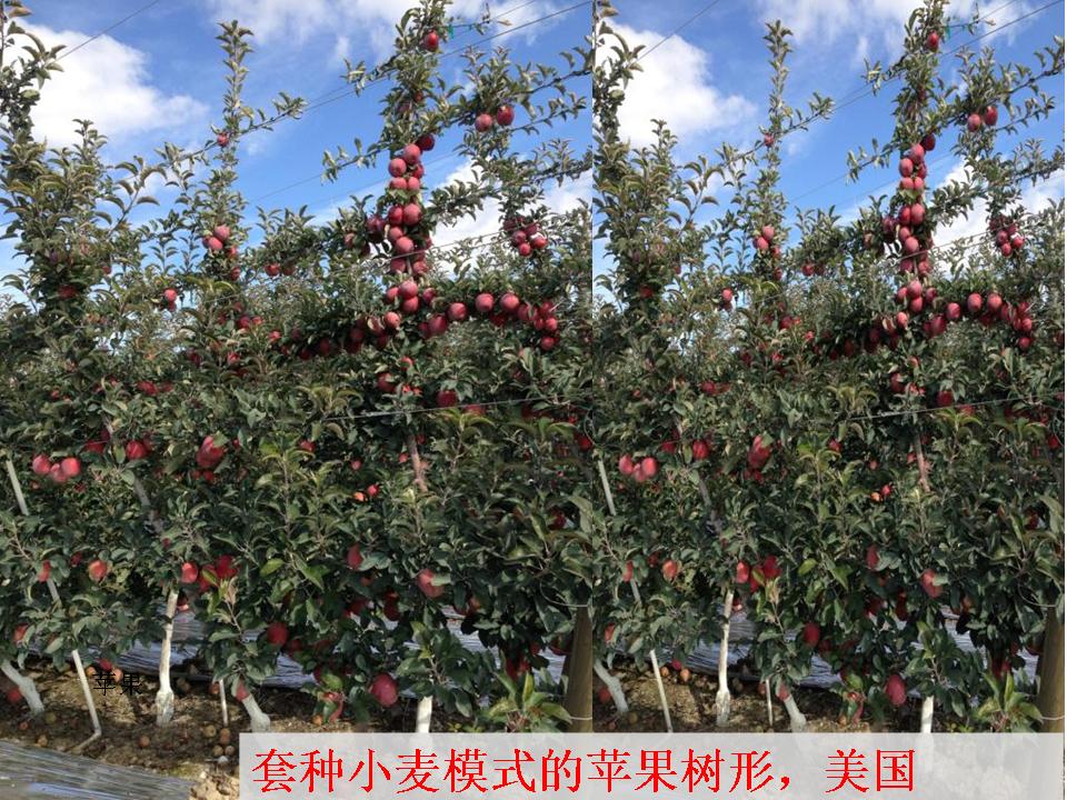 幻灯片322