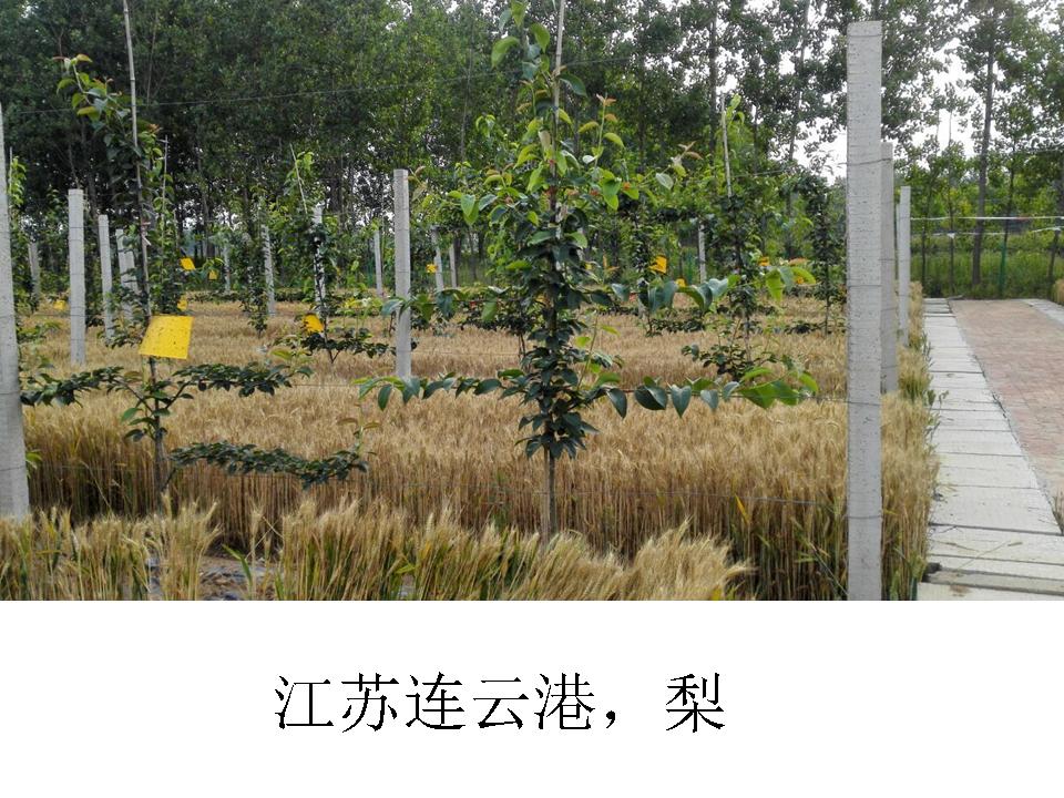 幻灯片325