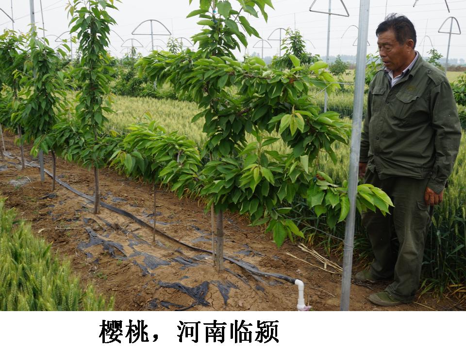 幻灯片327