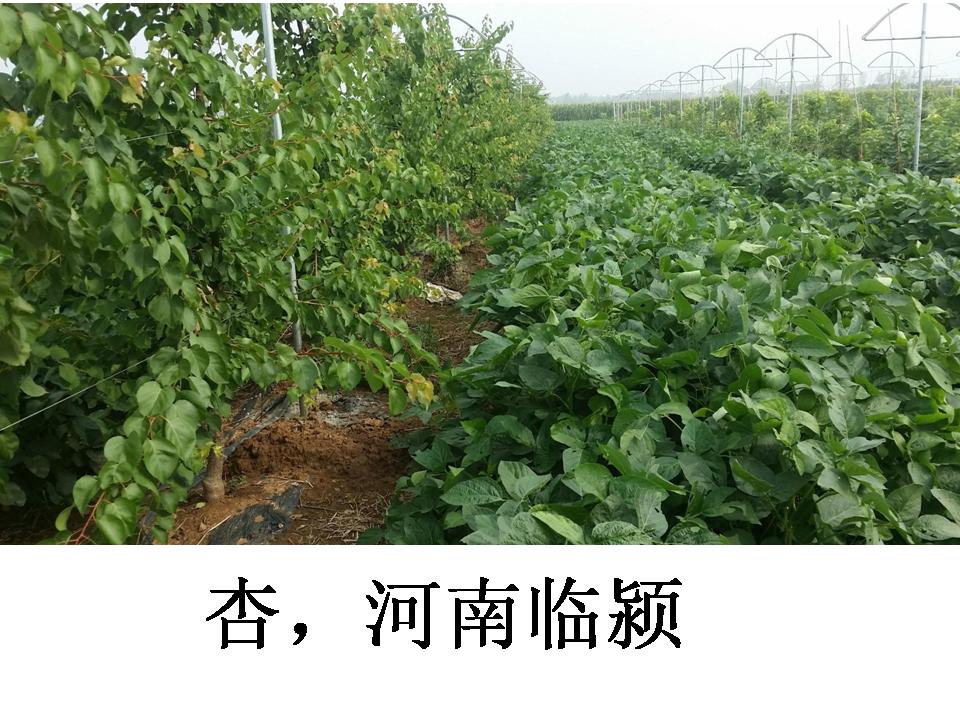 幻灯片328