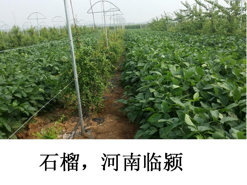 幻灯片329