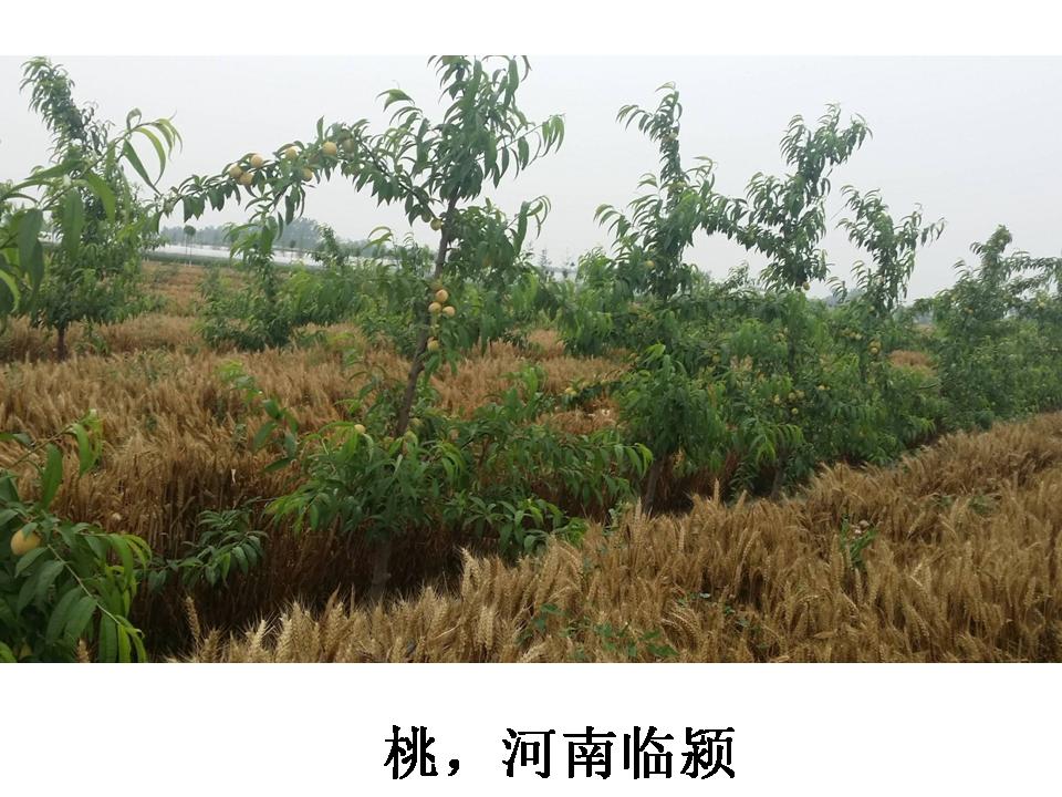幻灯片331