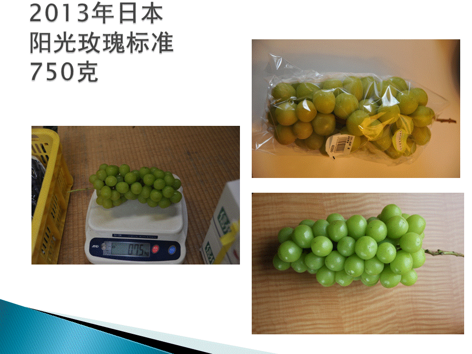 幻灯片17