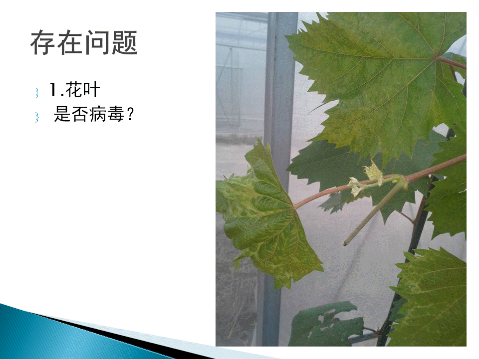幻灯片19