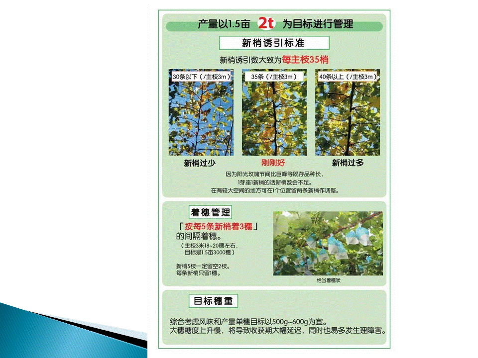 幻灯片29