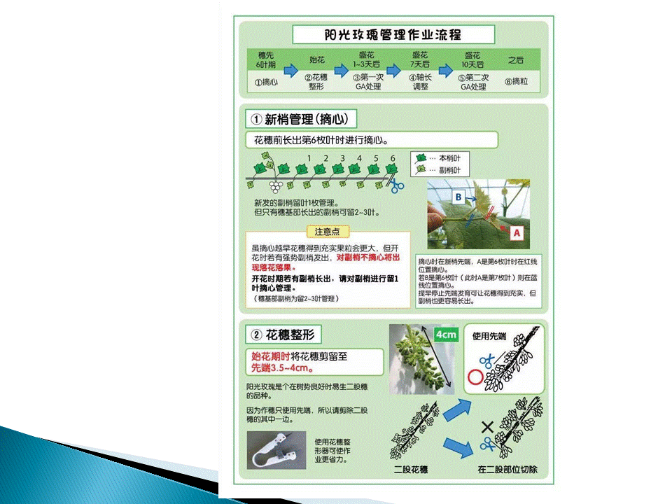 幻灯片30
