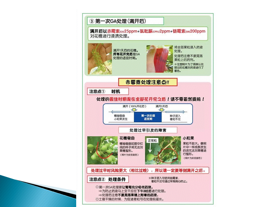 幻灯片31