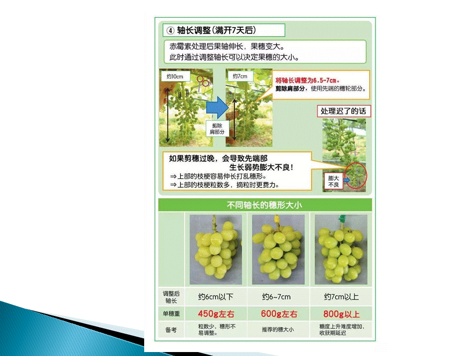 幻灯片32