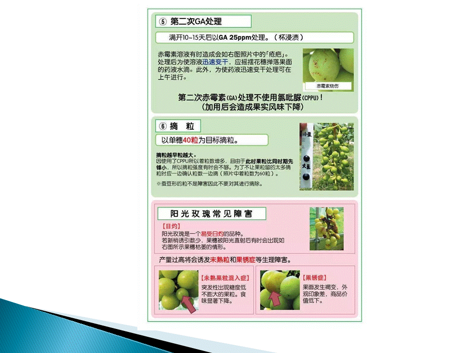 幻灯片33