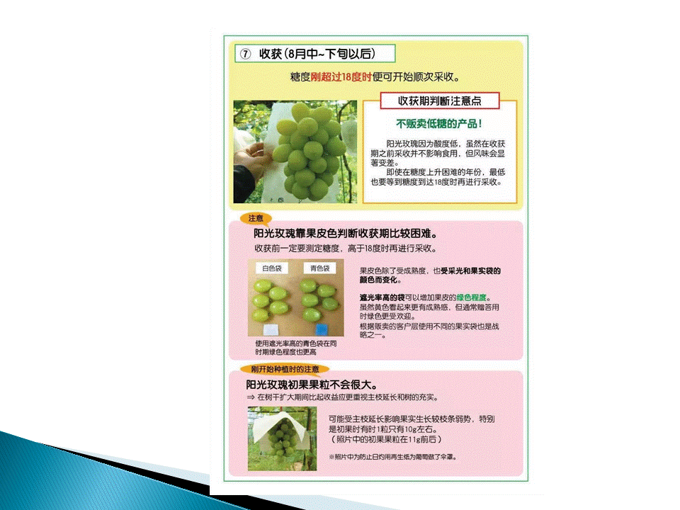 幻灯片34