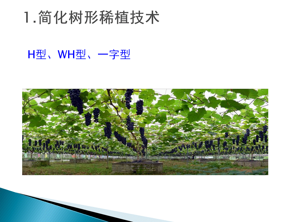 幻灯片41