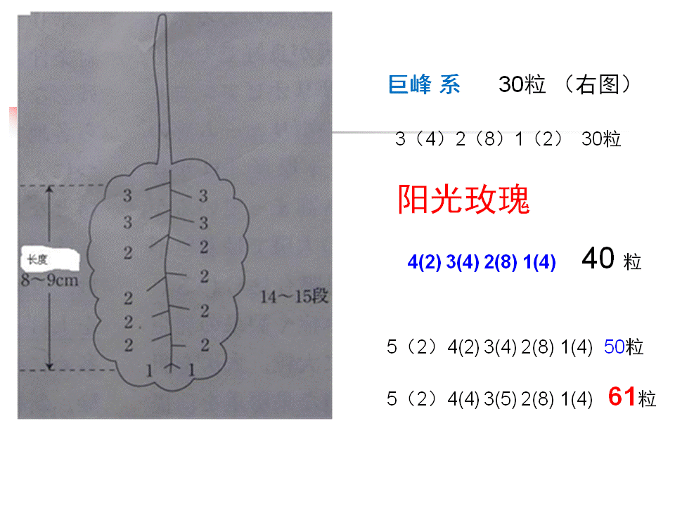 幻灯片64